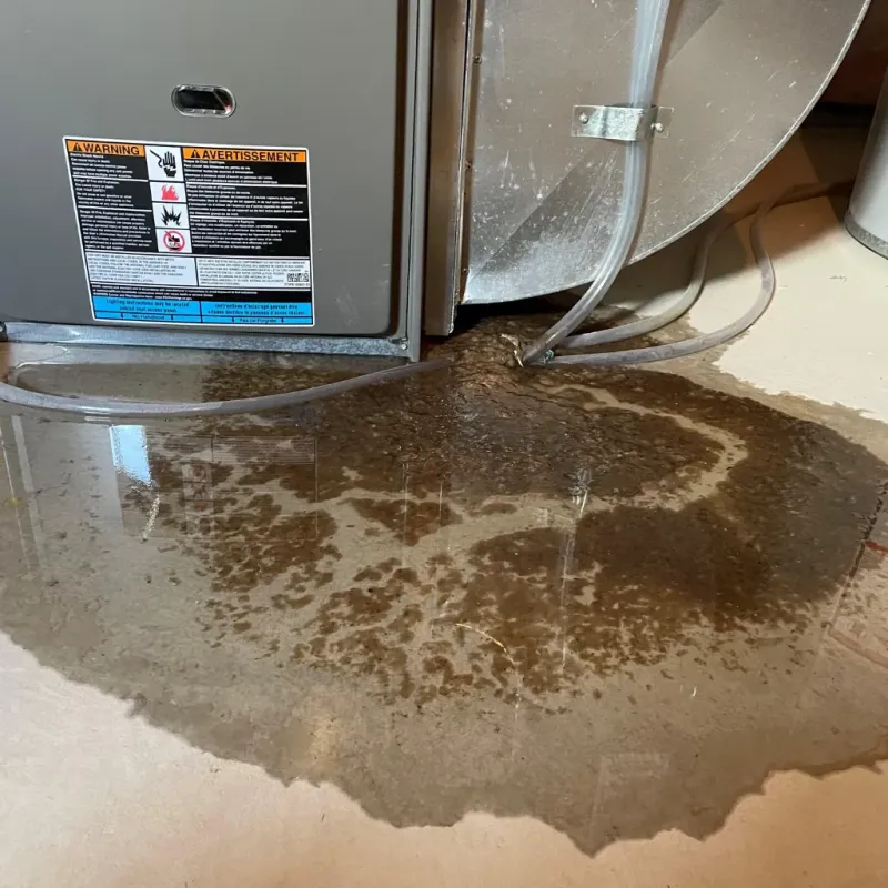 Appliance Leak Cleanup in Franklin County, TX