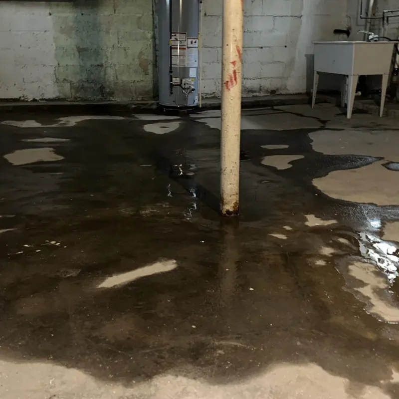 Emergency Water Extraction And Removal in Franklin County, TX